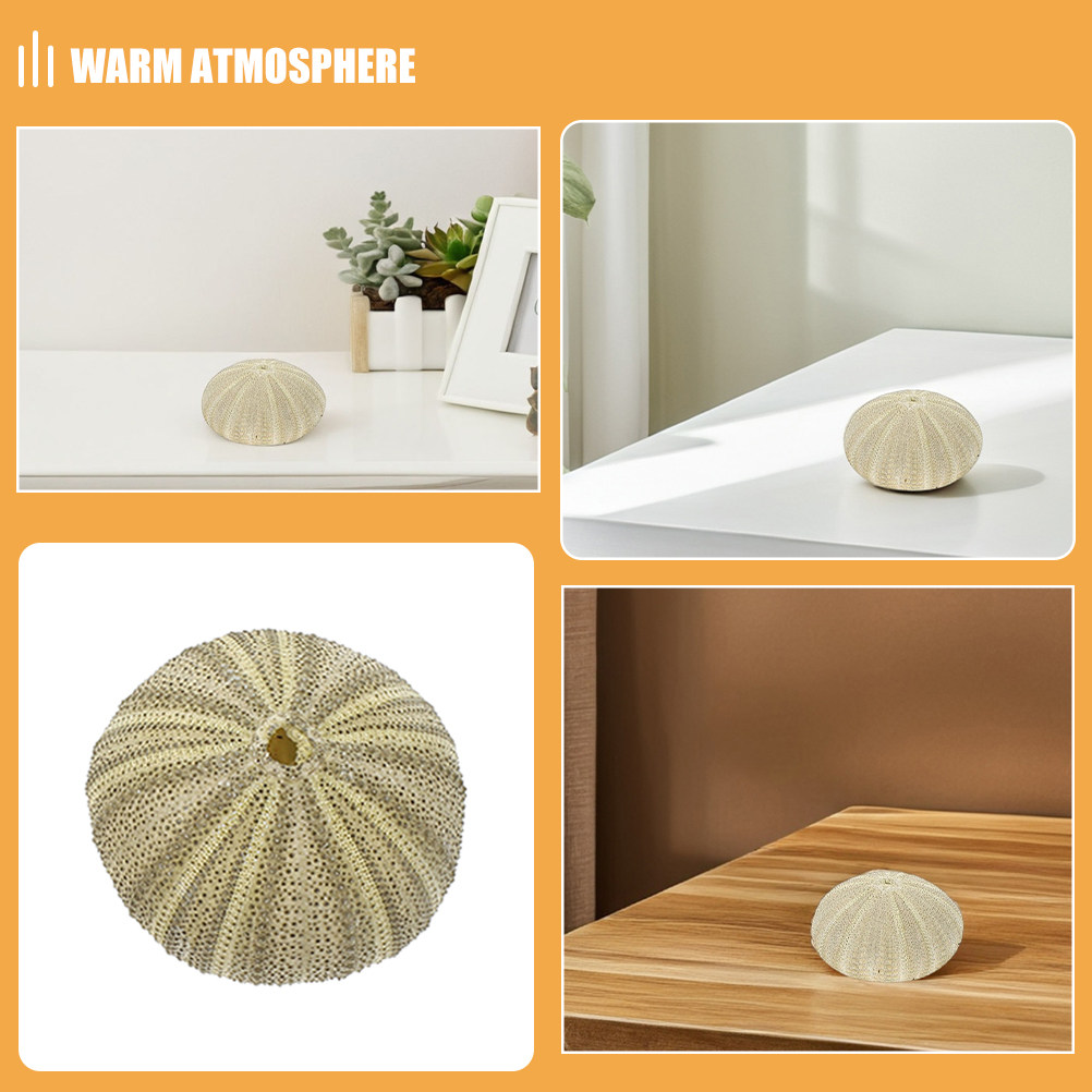 18 coquilles d'ormeaux pour re - Art Craft Decoration avis et prix