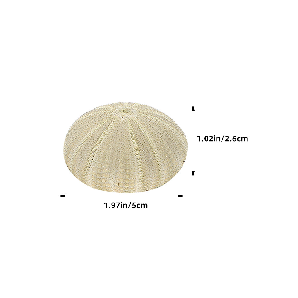 18 coquilles d'ormeaux pour re - Art Craft Decoration avis et prix