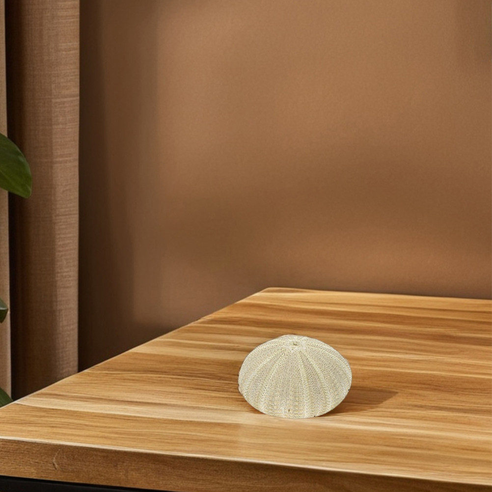 18 coquilles d'ormeaux pour re - Art Craft Decoration avis et prix